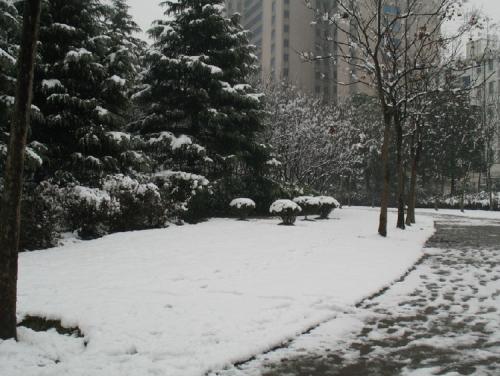 上海下雪.jpg