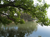 春湖
